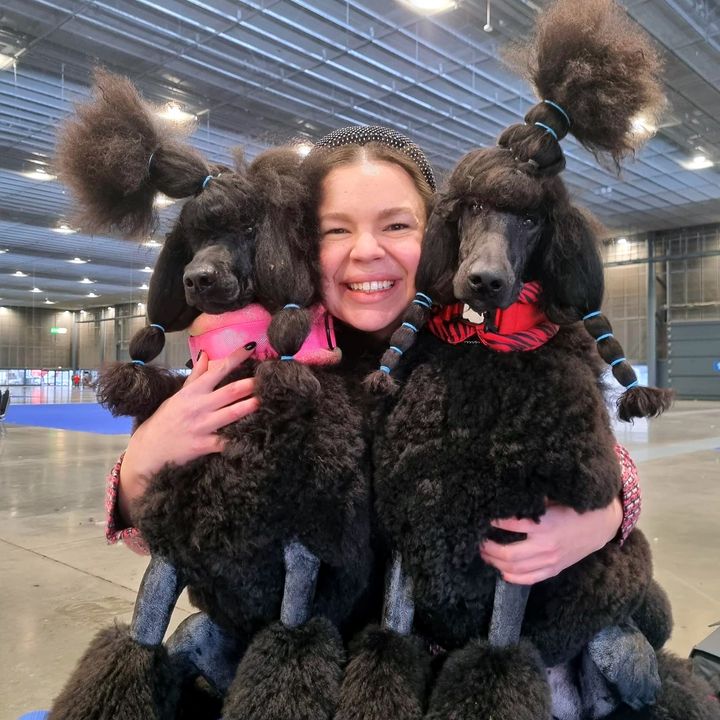 Welcome to the Poodle Club!